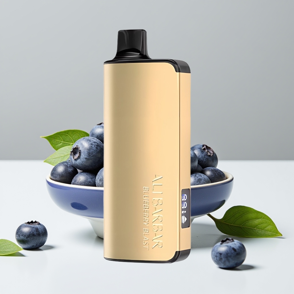 Alibarbar Ingot 9000 Puffs 22ml/2350mAh/12Ω Čučoriedková Explózia