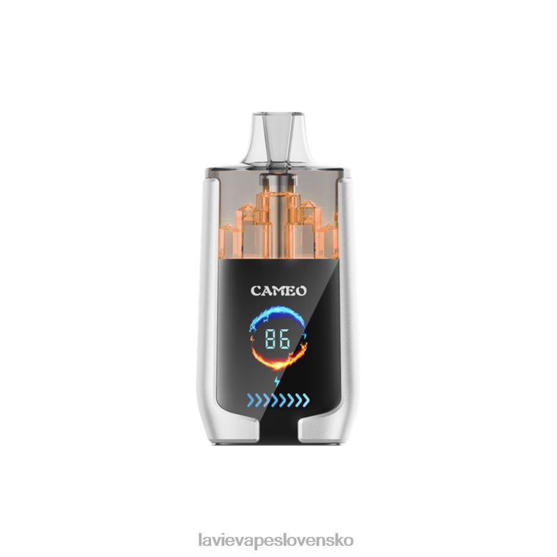 Lavie Vape Recenzia DP24P17 LAVIE CAMEO 30 000 ťahov hruškový ľad