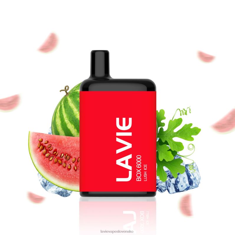 Lavie Vape Recenzia DP24P199 LAVIE BOX 6000 ťahov svieži ľad