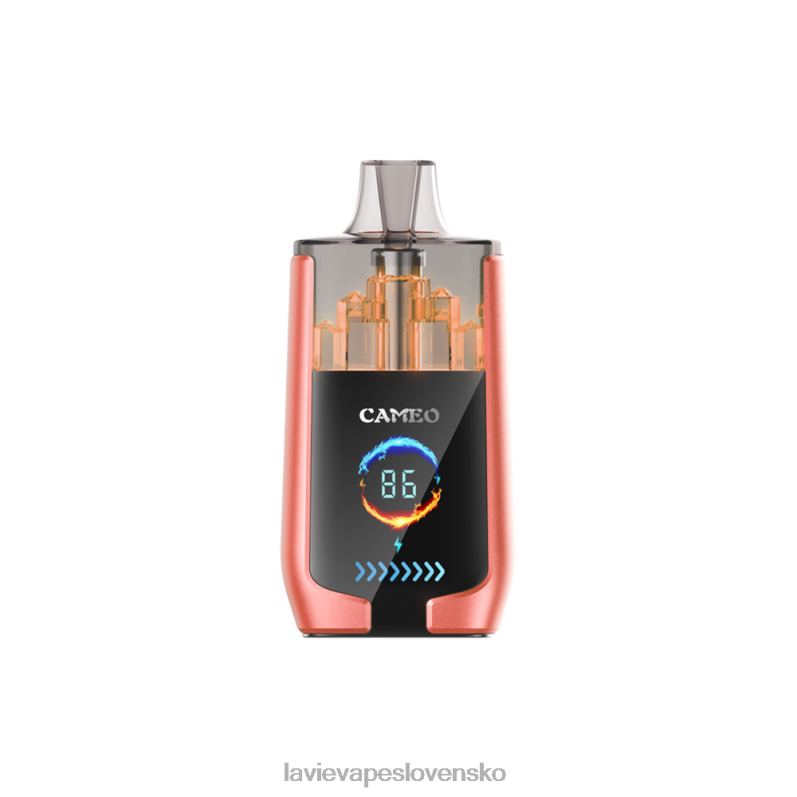 Lavie Vape Recenzia DP24P24 LAVIE CAMEO 30 000 ťahov jahodový melón