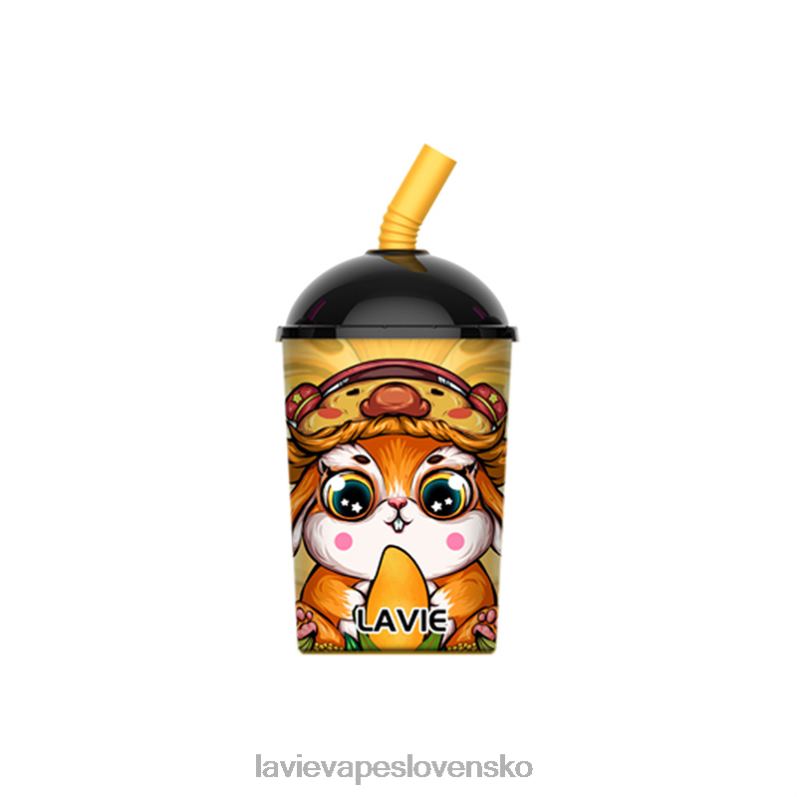 Lavie Vape Recenzia DP24P262 LAVIE Max Cup 8000 ťahov mangový ľad