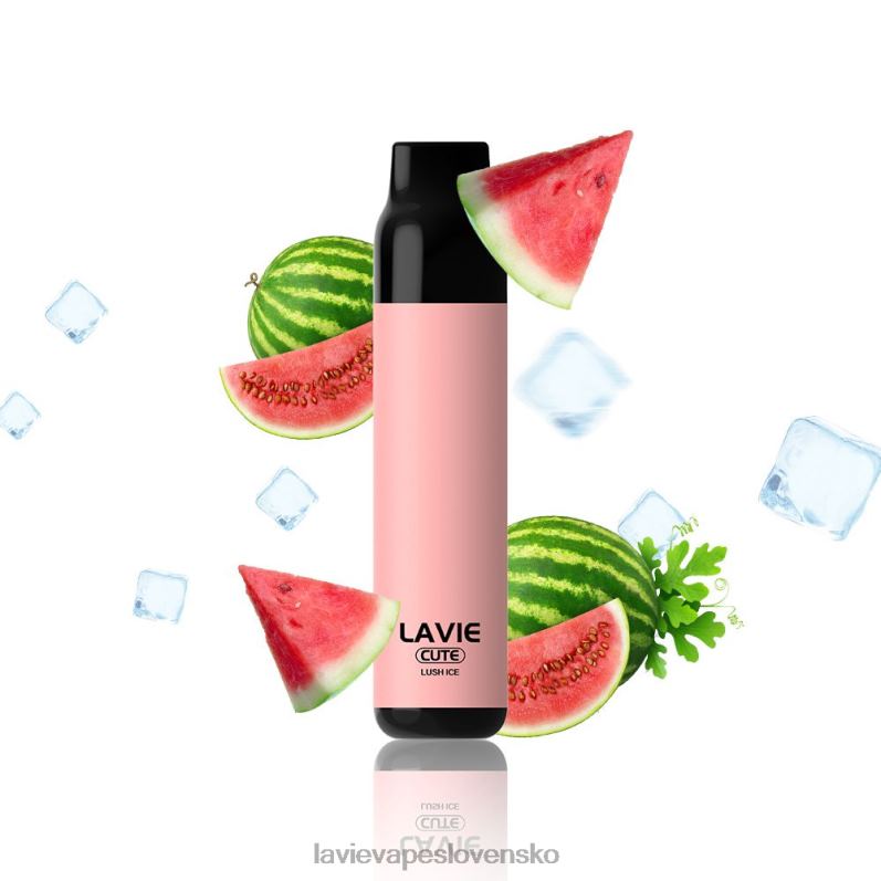 Lavie Vape Reddit DP24P285 LAVIE BAR 3000 ťahov svieži ľad