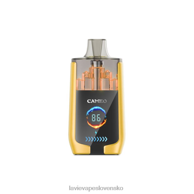 Lavie Vape Review DP24P21 LAVIE CAMEO 30 000 ťahov mangový ľad