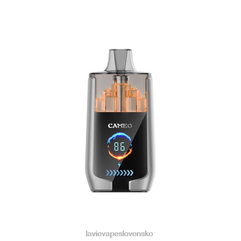 Lavie Vape Slovensko DP24P15 LAVIE CAMEO 30 000 ťahov čučoriedkový ľad