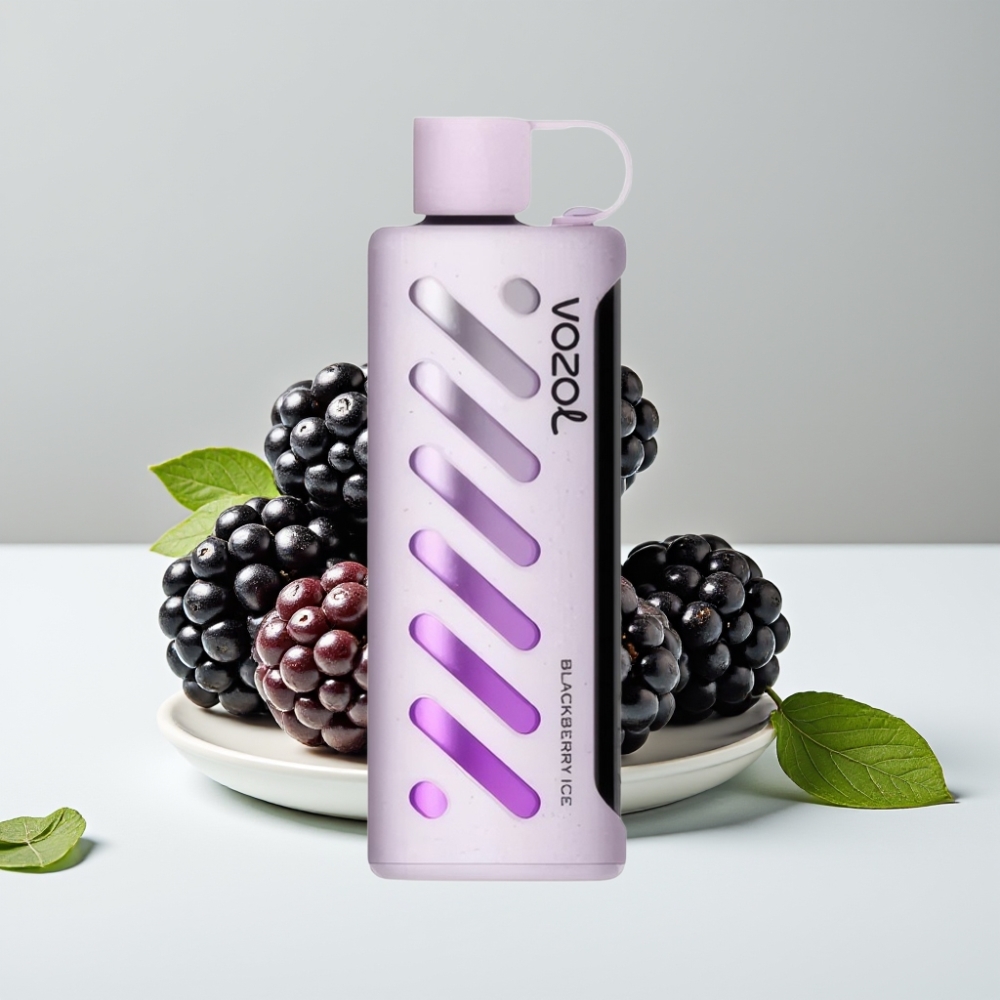 VOZOL Gear Shisha 25000 Puffs Blackberry Ice 1000mAh Dual Mesh 5mg/ml