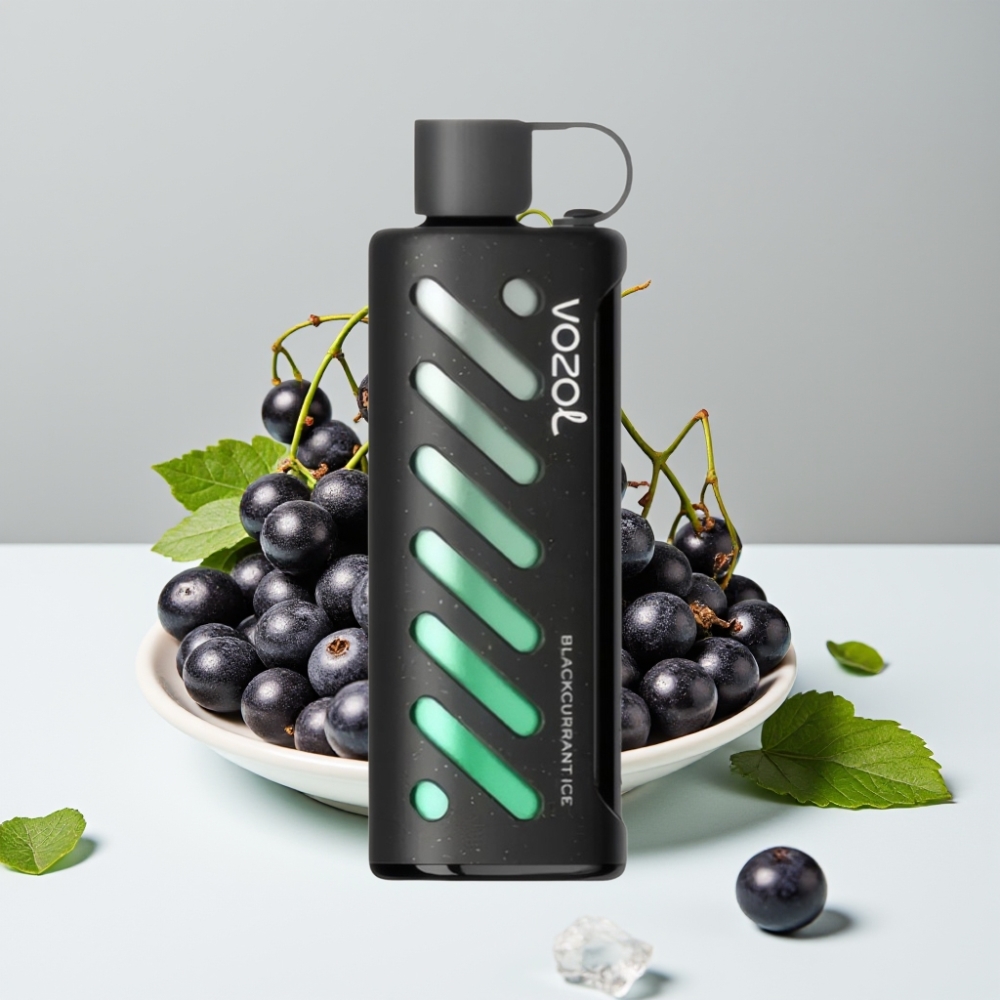 VOZOL Gear Shisha 25000 Puffs Blackcurrant Ice 5mg/ml 1000mAh Dual Mesh