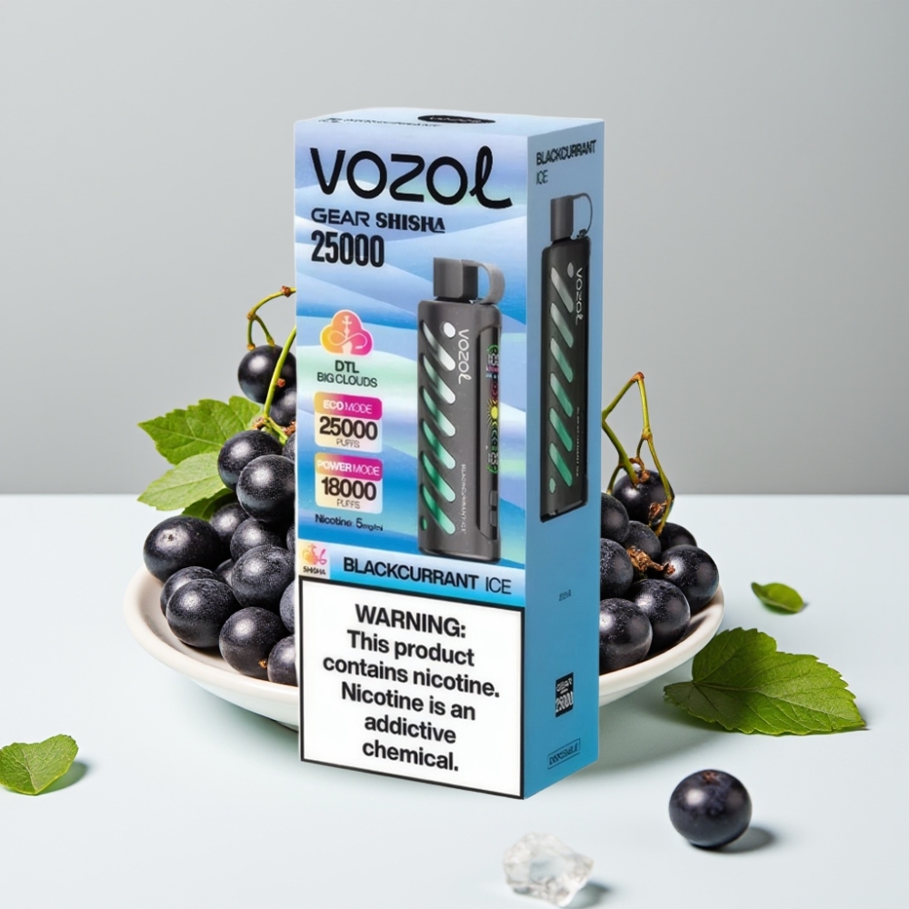 VOZOL Gear Shisha 25000 Puffs Blackcurrant Ice 5mg/ml 1000mAh Dual Mesh