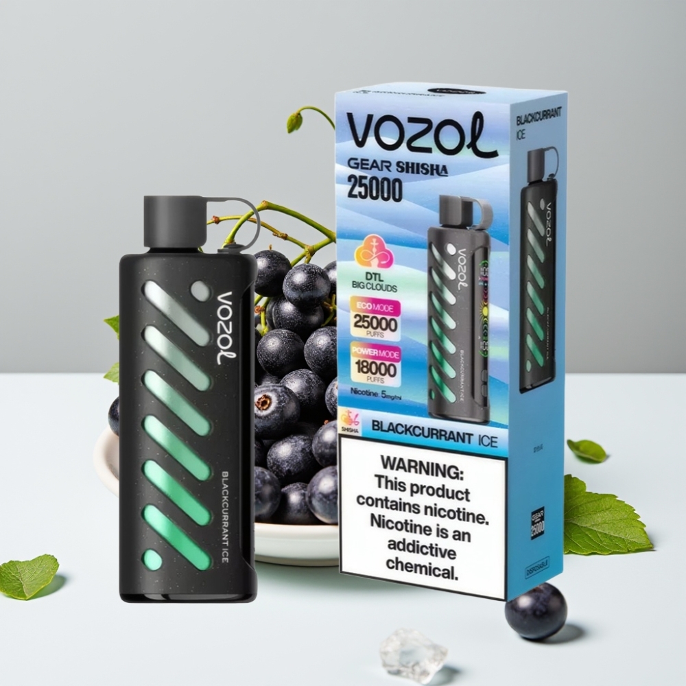 VOZOL Gear Shisha 25000 Puffs Blackcurrant Ice 5mg/ml 1000mAh Dual Mesh