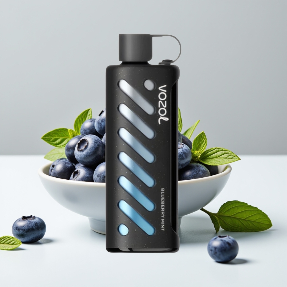 VOZOL Gear Shisha 25000 Puffs Čučoriedková Mätová 1000mAh 5mg/ml Dual Mesh
