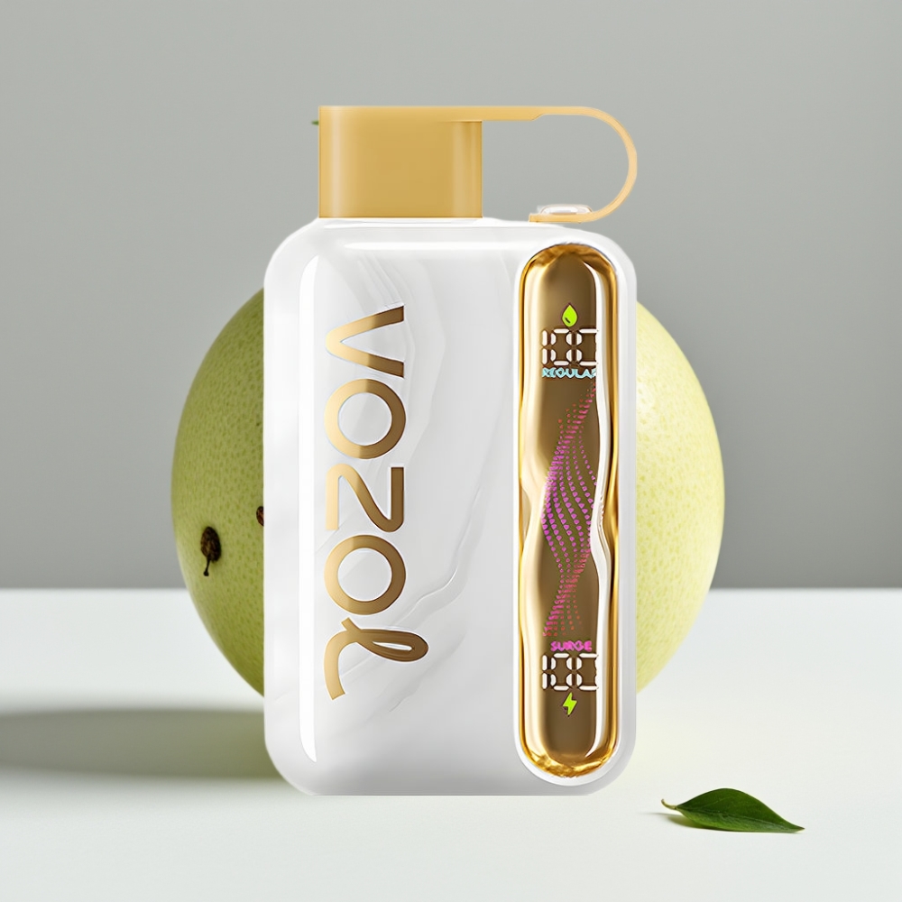 VOZOL STAR 40000 Disposable Vape Melónová guma 20/50mg/ml Typ-C