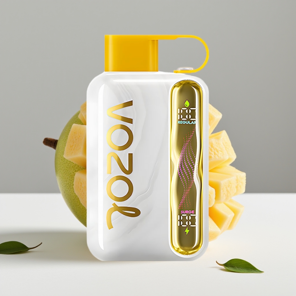 VOZOL STAR 40000 Puffs Disposable Vape Mango Ľadová 20/50mg/ml Type-C