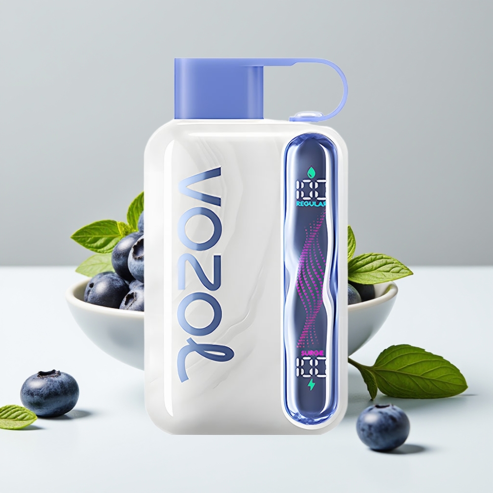 VOZOL STAR 40000 Puffs Disposable Vape Čučoriedková Mätová 1000mAh Type-C