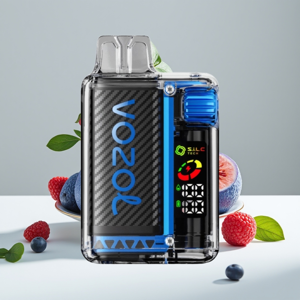 VOZOL Vista 20000 Puffs Modrá Malina Ľadová 650mAh 2 OLED SiLC Tech