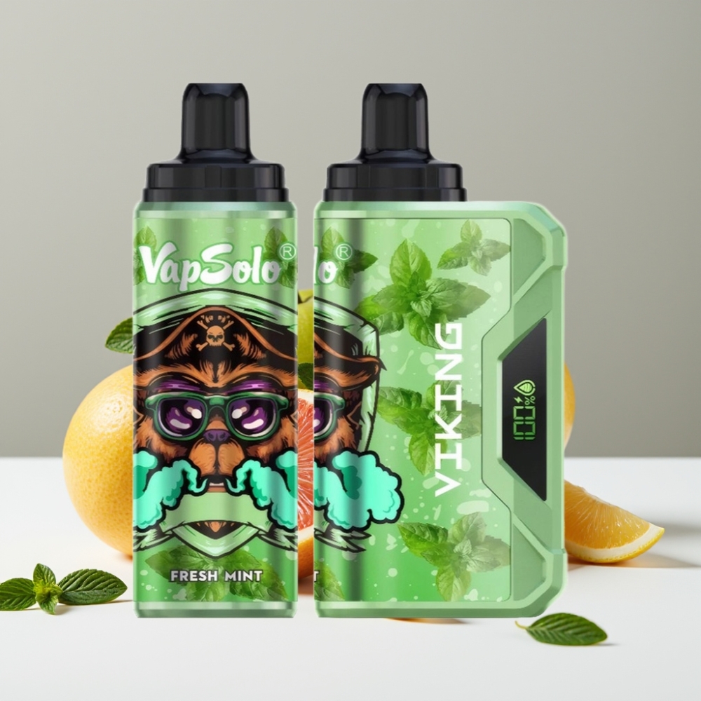 VapSolo VIKING 12000 Puffs 22ml 20/50mg Typ-C Čerstvá Mäta