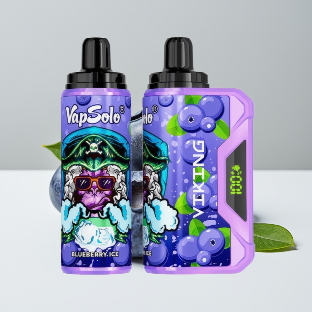 VapSolo VIKING 12000 Puffs Čučoriedka 22ml 20/50 mg/ml Type-C